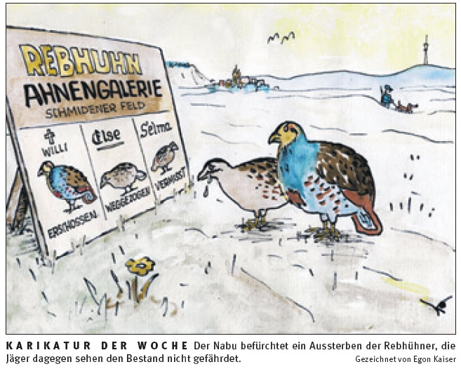 Karikatur-Egon-Kaiser-2009-01-31-Rebhuhn